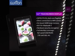 Module de l'affichage ESP32
