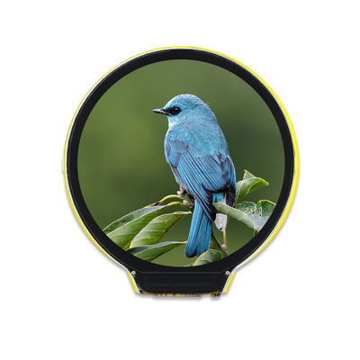 Un bon prix. 1,28 module LVGL d'écran de TFT LCD de résolution de pouce 240x240 sans contact en ligne