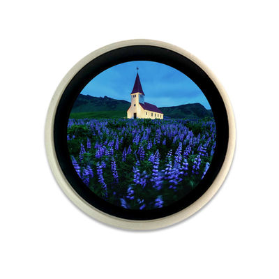 Un bon prix. le tft blanc d'affichage à cristaux liquides de la coquille PCT de 1.28-inch ESP32 montrent le contact capacitif en ligne